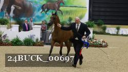 24BUCK_00697 thumbnail