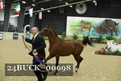 24BUCK_00698 thumbnail