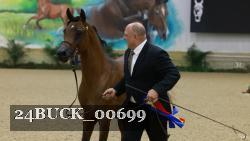 24BUCK_00699 thumbnail