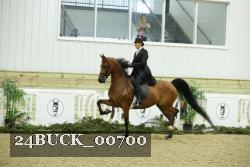 24BUCK_00700 thumbnail