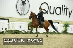 24BUCK_00701 thumbnail
