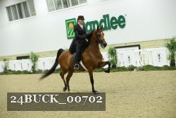 24BUCK_00702 thumbnail