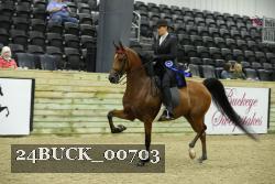 24BUCK_00703 thumbnail