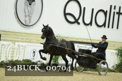 24BUCK_00704 thumbnail