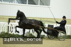 24BUCK_00706 thumbnail