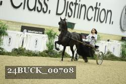 24BUCK_00708 thumbnail