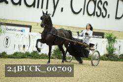 24BUCK_00709 thumbnail