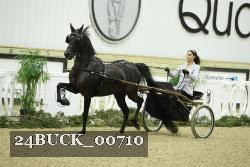 24BUCK_00710 thumbnail