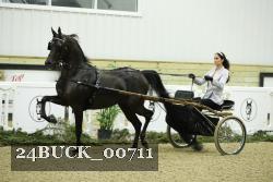 24BUCK_00711 thumbnail