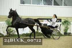 24BUCK_00712 thumbnail