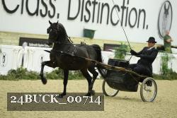 24BUCK_00714 thumbnail
