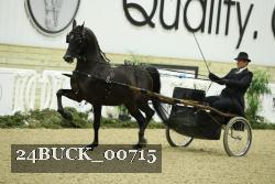 24BUCK_00715 thumbnail