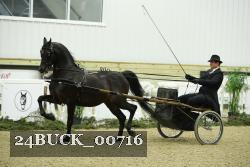 24BUCK_00716 thumbnail