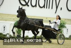 24BUCK_00720 thumbnail