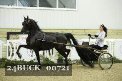 24BUCK_00721 thumbnail