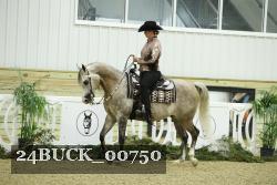 24BUCK_00750 thumbnail