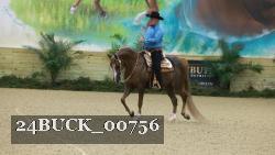 24BUCK_00756 thumbnail