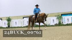 24BUCK_00761 thumbnail