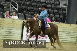 24BUCK_00763 thumbnail