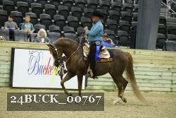 24BUCK_00767 thumbnail