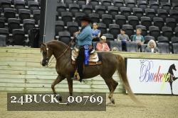 24BUCK_00769 thumbnail