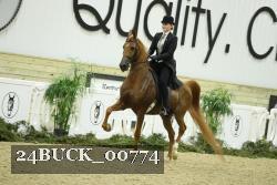 24BUCK_00774 thumbnail