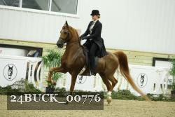 24BUCK_00776 thumbnail