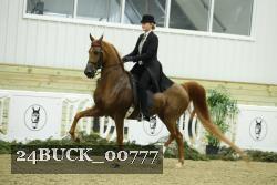 24BUCK_00777 thumbnail