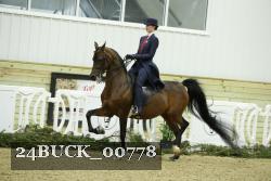 24BUCK_00778 thumbnail