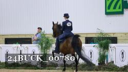 24BUCK_00780 thumbnail