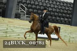24BUCK_00781 thumbnail