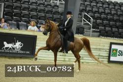 24BUCK_00782 thumbnail