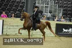 24BUCK_00783 thumbnail