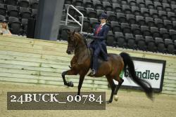 24BUCK_00784 thumbnail