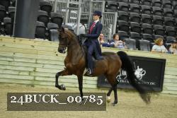 24BUCK_00785 thumbnail
