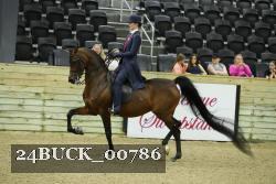 24BUCK_00786 thumbnail