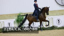 24BUCK_00788 thumbnail