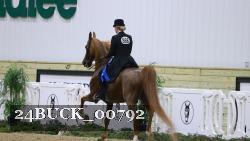 24BUCK_00792 thumbnail