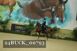 24BUCK_00793 thumbnail
