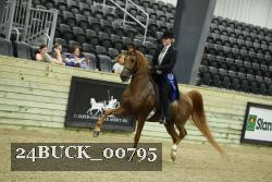 24BUCK_00795 thumbnail