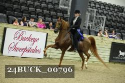 24BUCK_00796 thumbnail