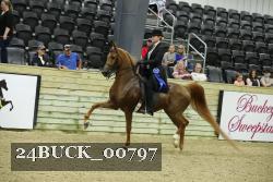 24BUCK_00797 thumbnail