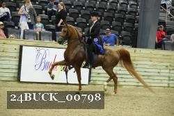24BUCK_00798 thumbnail