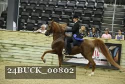 24BUCK_00802 thumbnail