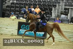 24BUCK_00803 thumbnail