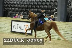 24BUCK_00805 thumbnail
