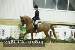 24BUCK_00813 thumbnail