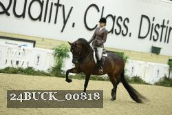 24BUCK_00818 thumbnail