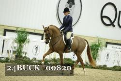 24BUCK_00820 thumbnail