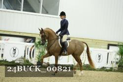 24BUCK_00821 thumbnail
